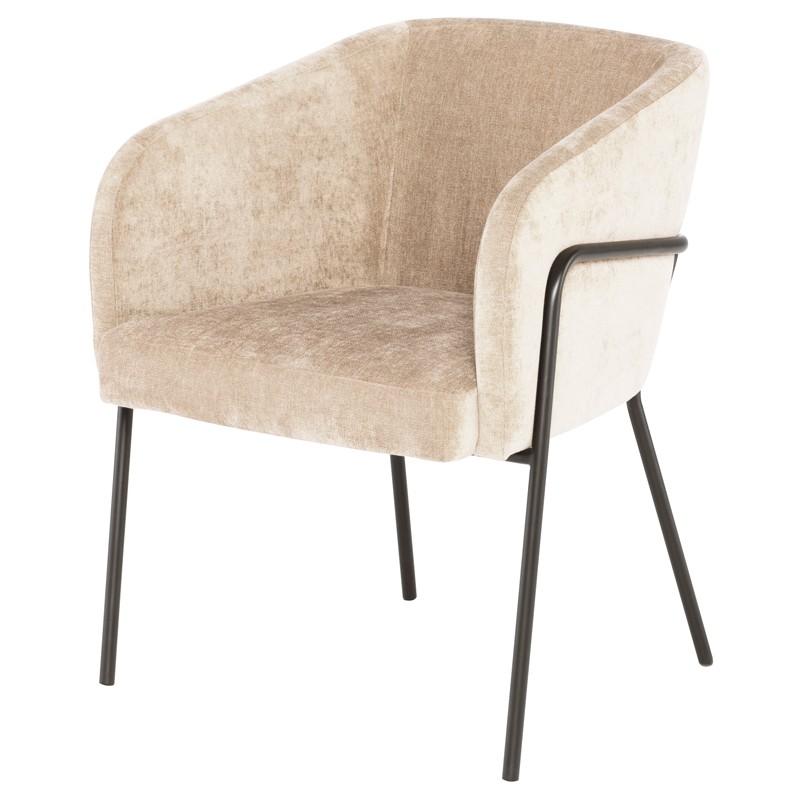 Estella Dining Chair by Nuevo