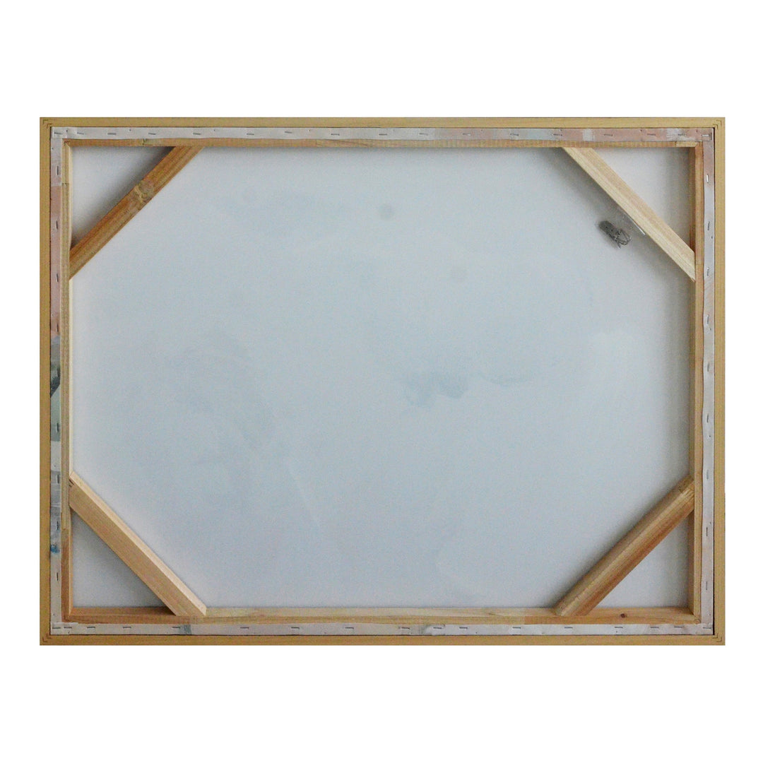 Gaia Framed Painting Moes Home Collection Mhc Jq 1047 37 3