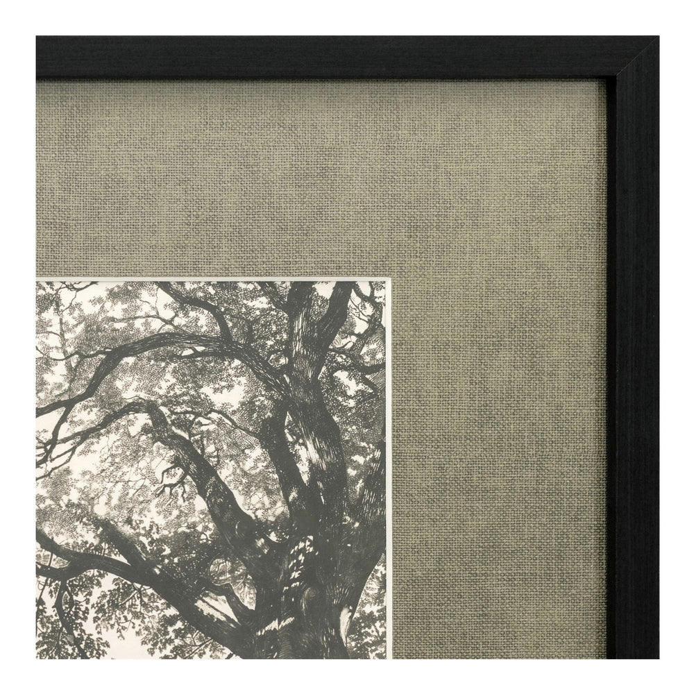 Arise Framed Print Moes Home Collection Mhc Jq 1058 37 4
