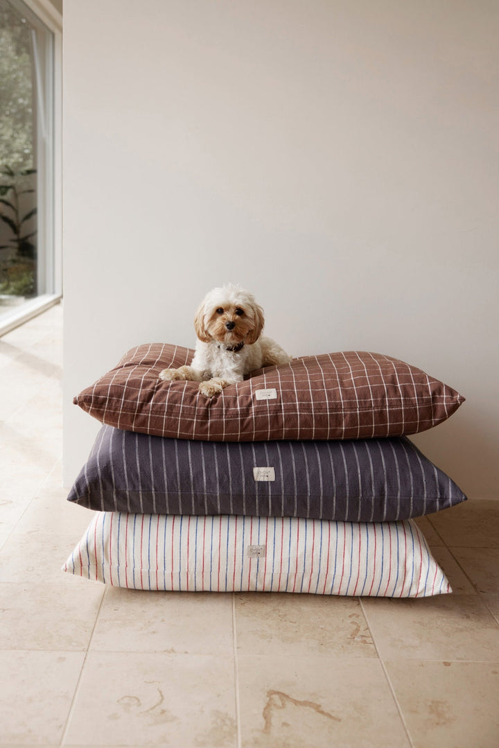 kyoto dog cushion choko 6