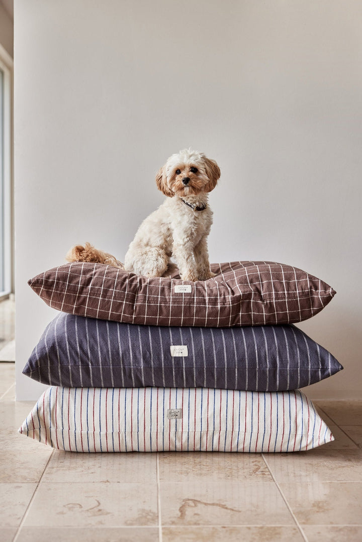 kyoto dog cushion choko 5