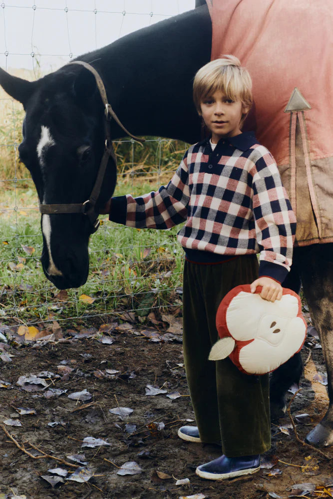 Cushion Apple Lorena Canals Sc Apple 4