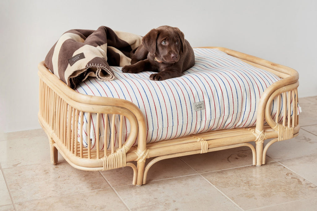 otto dog bed 11
