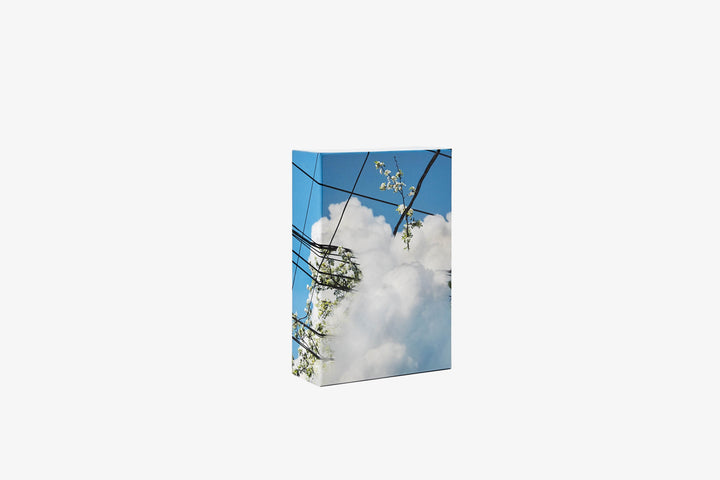 Puzzle in Puzzle