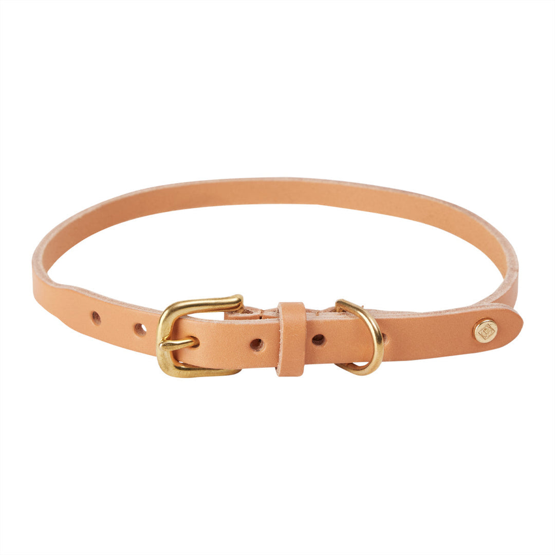 robin dog collar natural 3