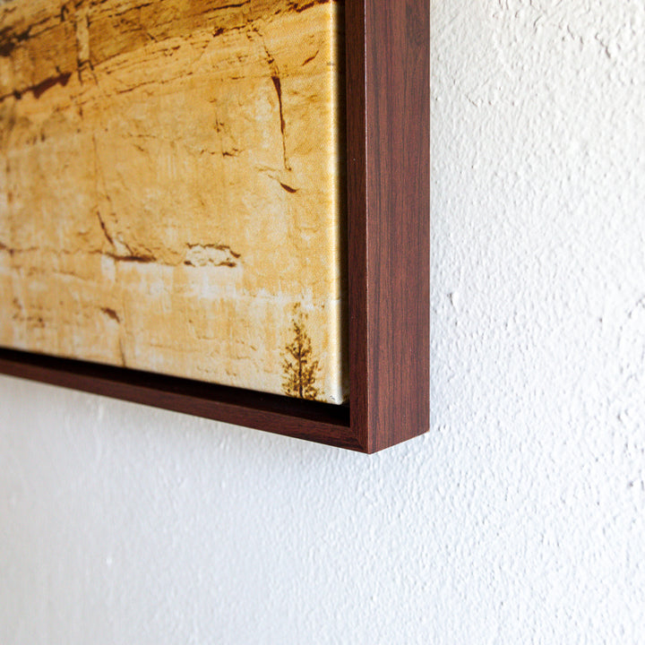 Grand Canyon Framed Canvas