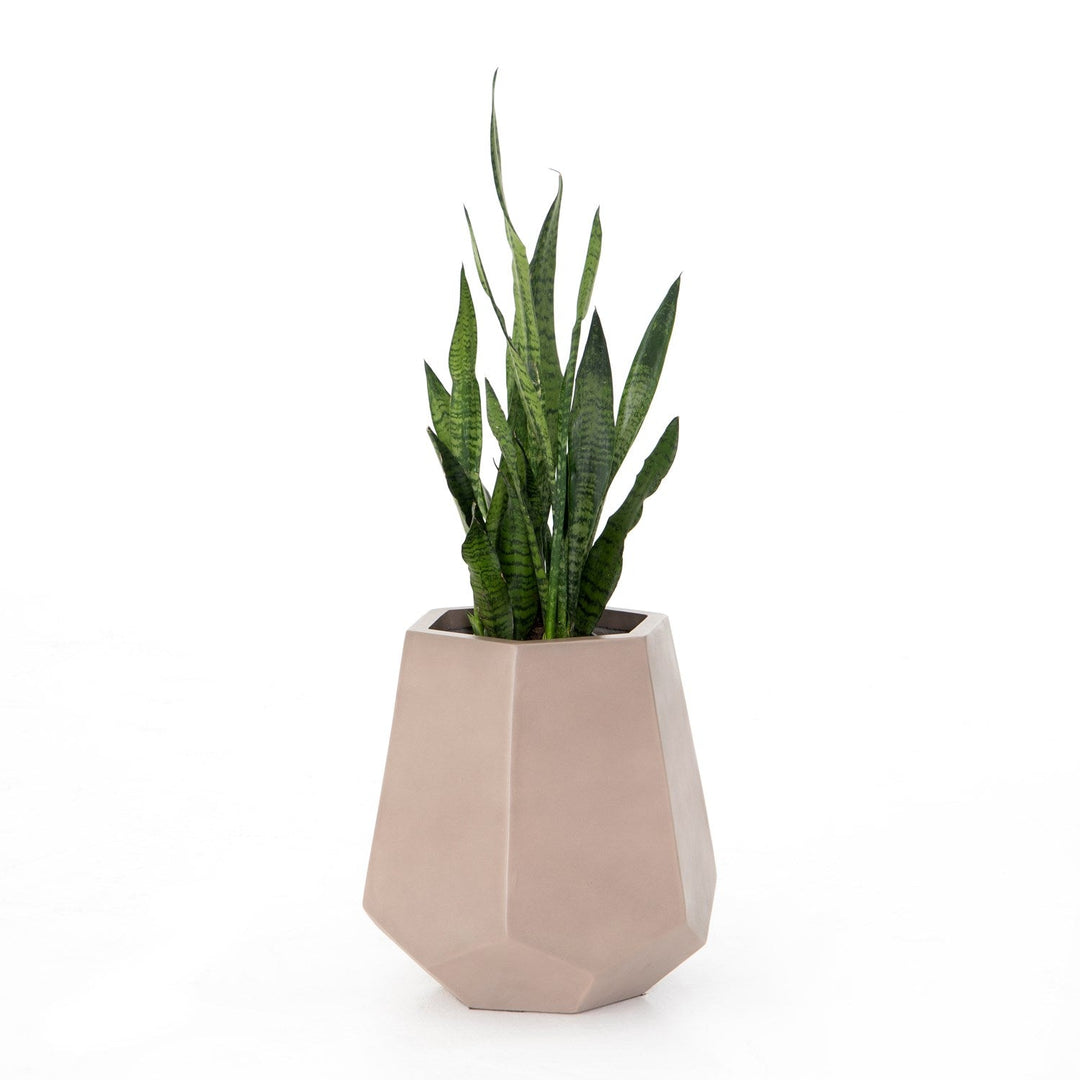 Paloma Outdoor Planter by BD Studio