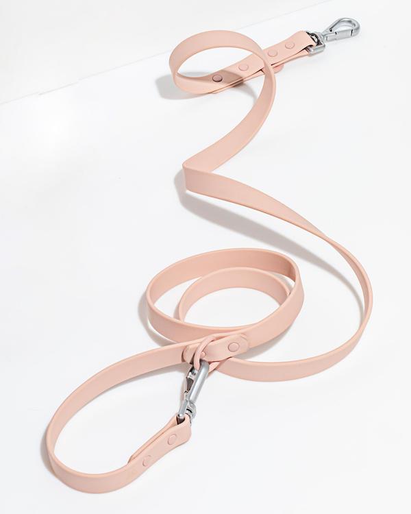 Leash in Various Sizes & Colors