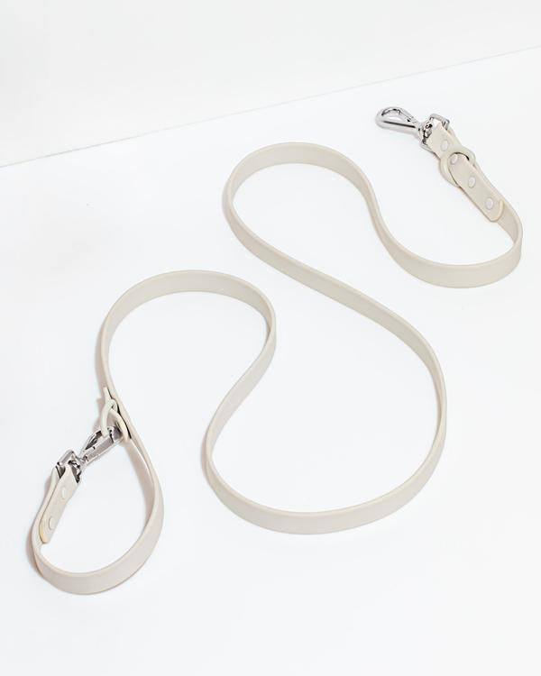 Leash in Various Sizes & Colors