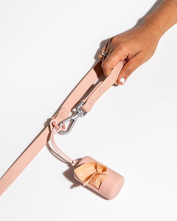 Leash in Various Sizes & Colors