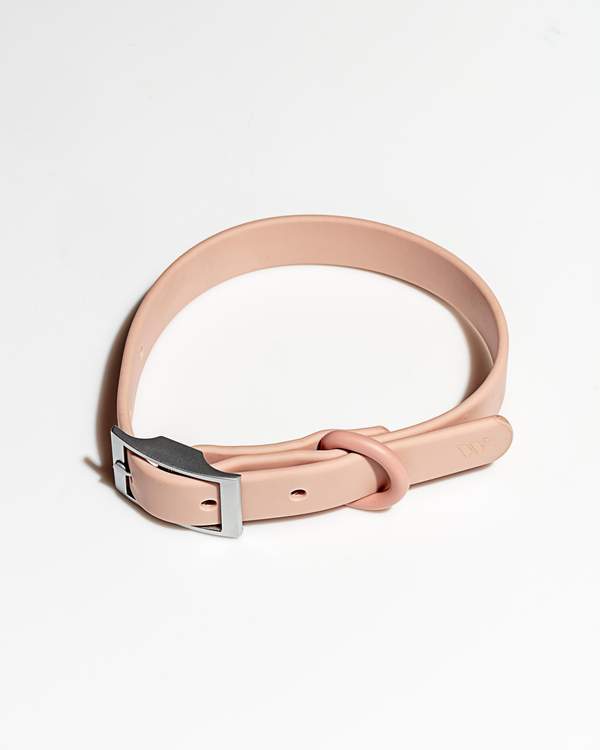 Collar in Various Sizes & Colors
