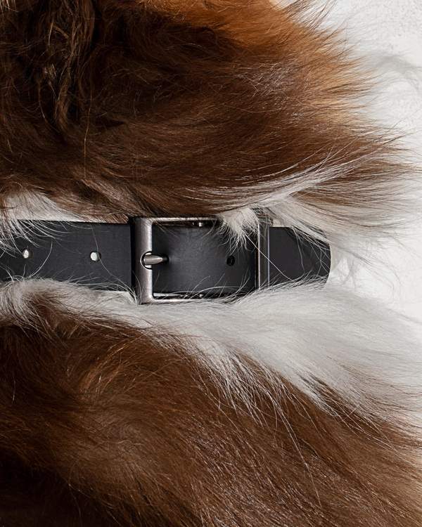 Collar in Various Sizes & Colors