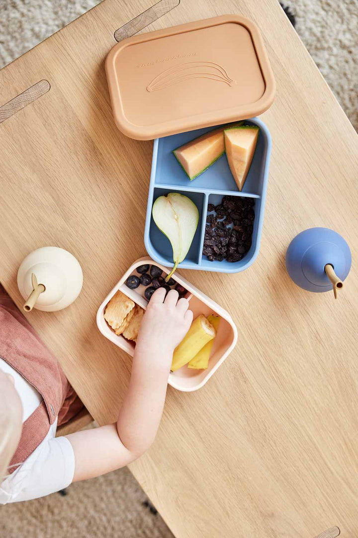 yummy lunch box small in various colors 7