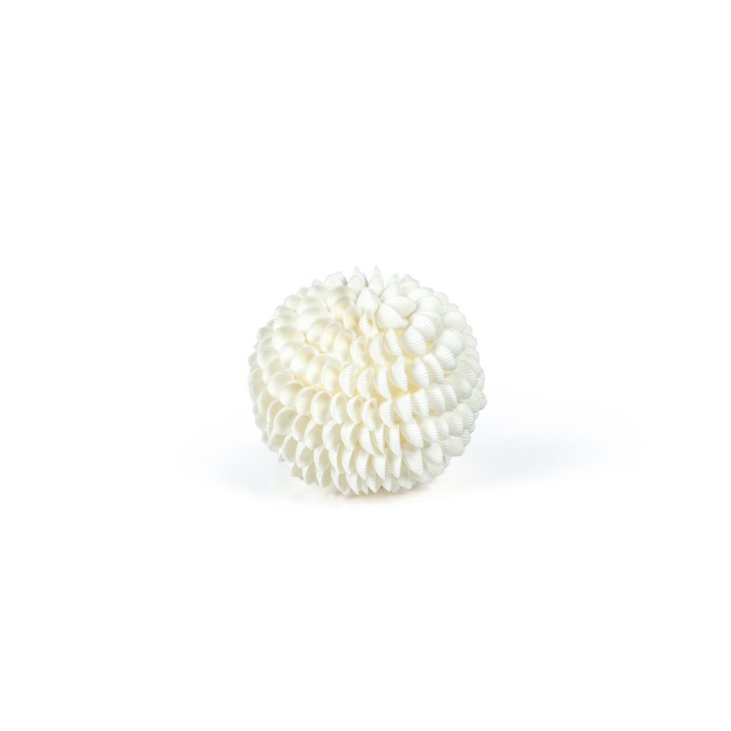 natural clamrose sea shell fill ball 1