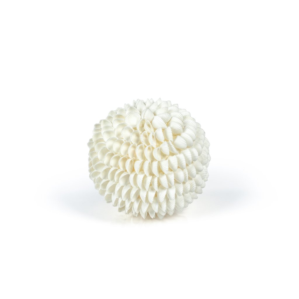 natural clamrose sea shell fill ball 2