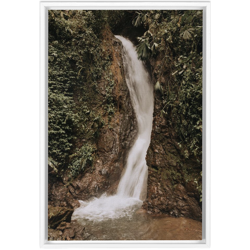 La Fortuna Framed Canvas