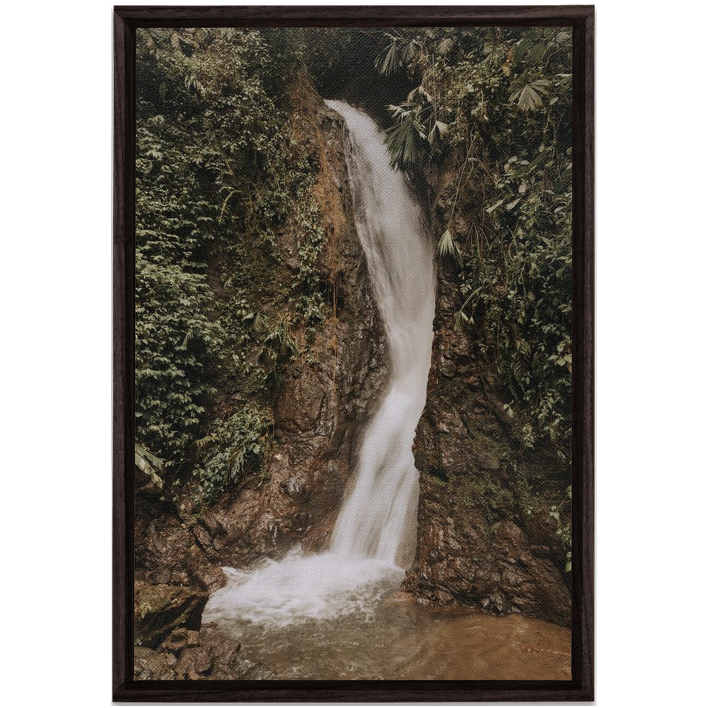 La Fortuna Framed Canvas