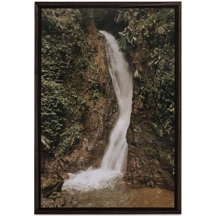 La Fortuna Framed Canvas