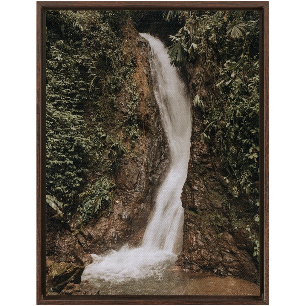 La Fortuna Framed Canvas