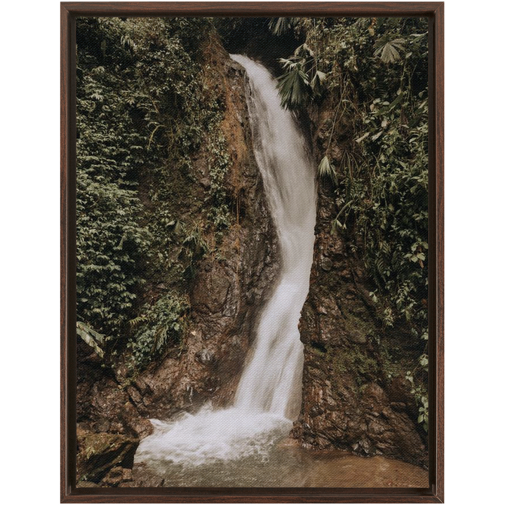 La Fortuna Framed Canvas