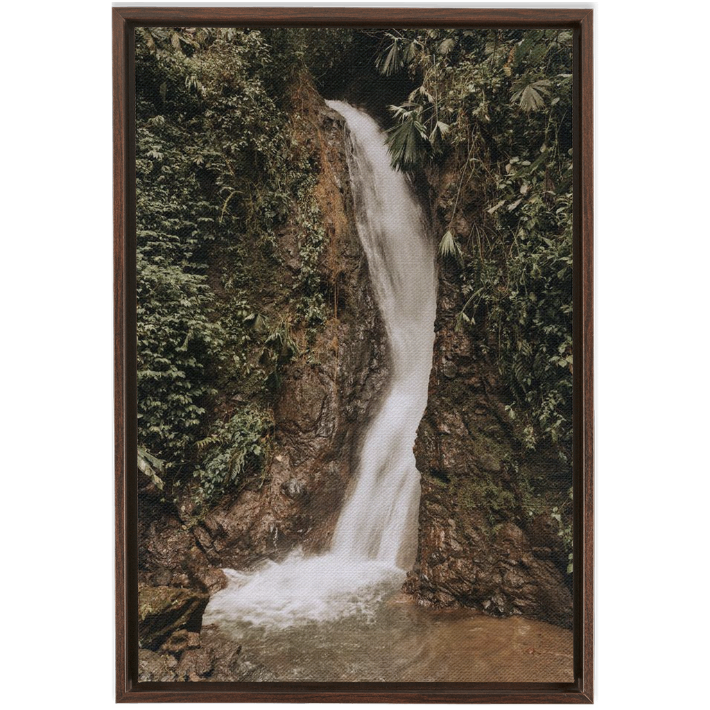 La Fortuna Framed Canvas