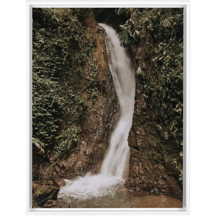 La Fortuna Framed Canvas