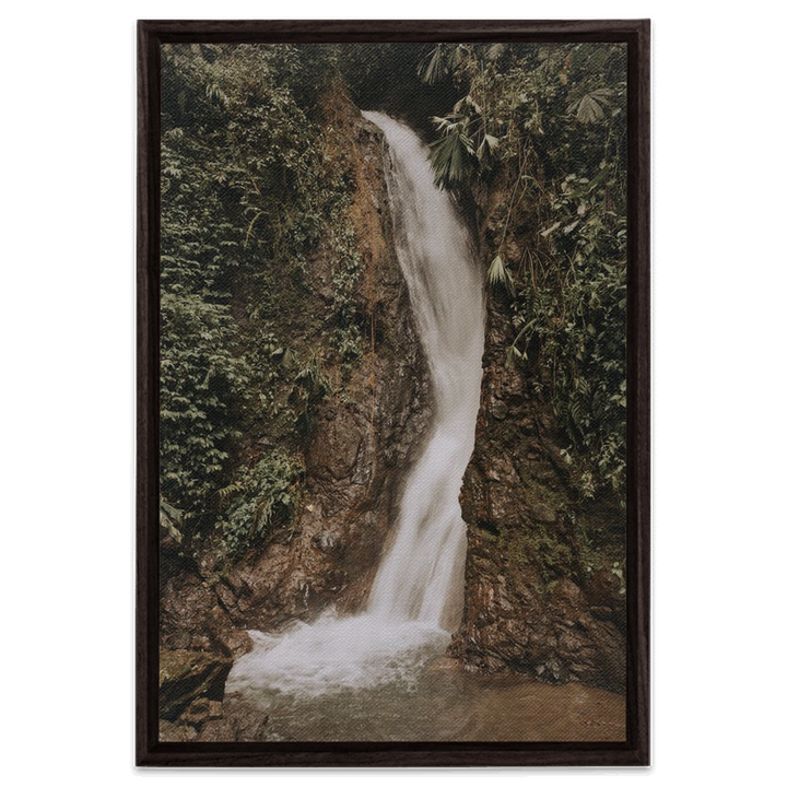 La Fortuna Framed Canvas