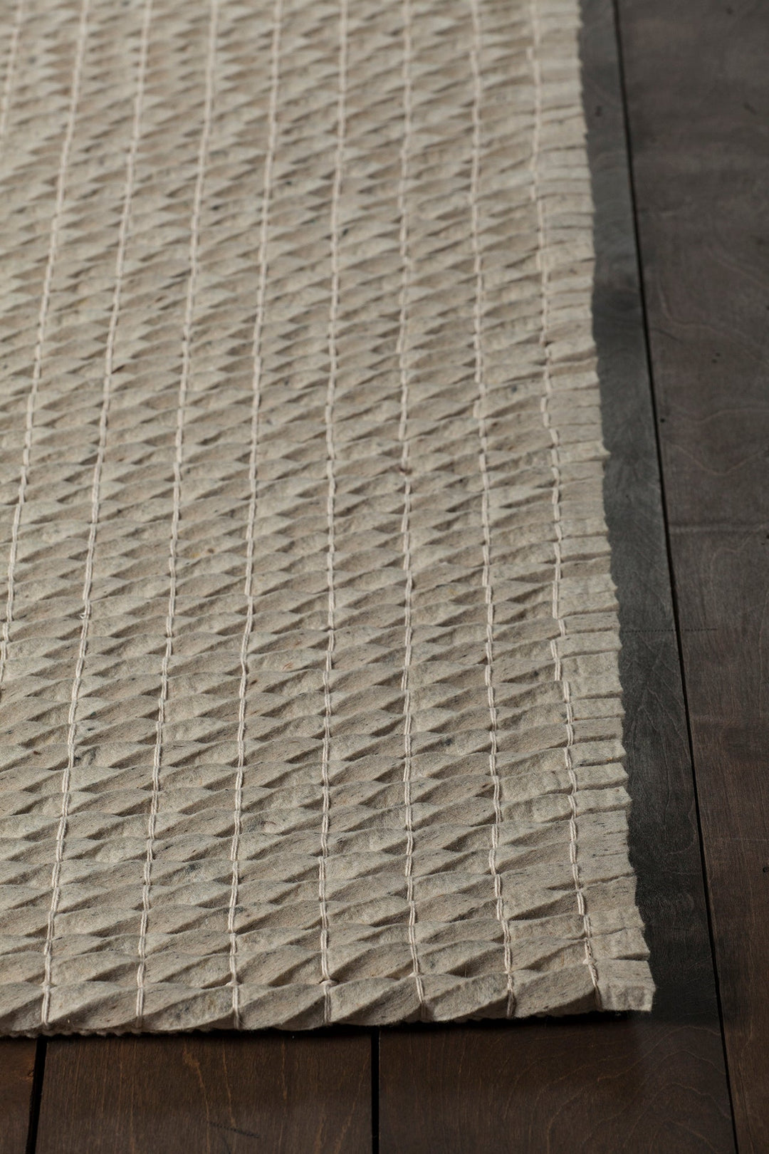 Renea Hand Woven Contemporary Ren 40101 Rug Chandra Rugs 4