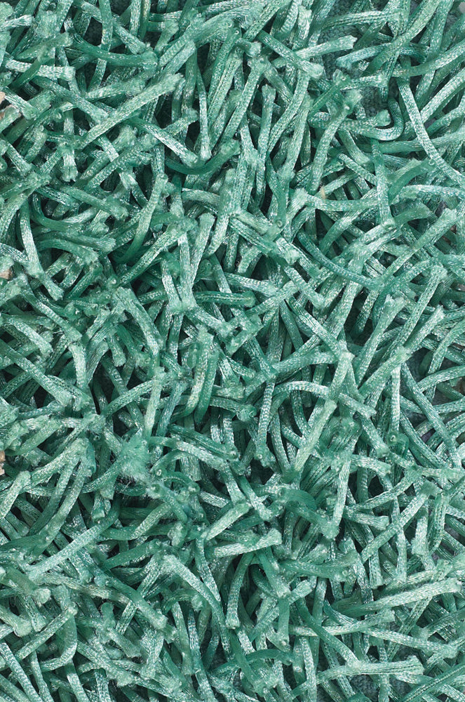 Zara Hand Woven Contemporary Zar 14541 Rug Chandra Rugs 3
