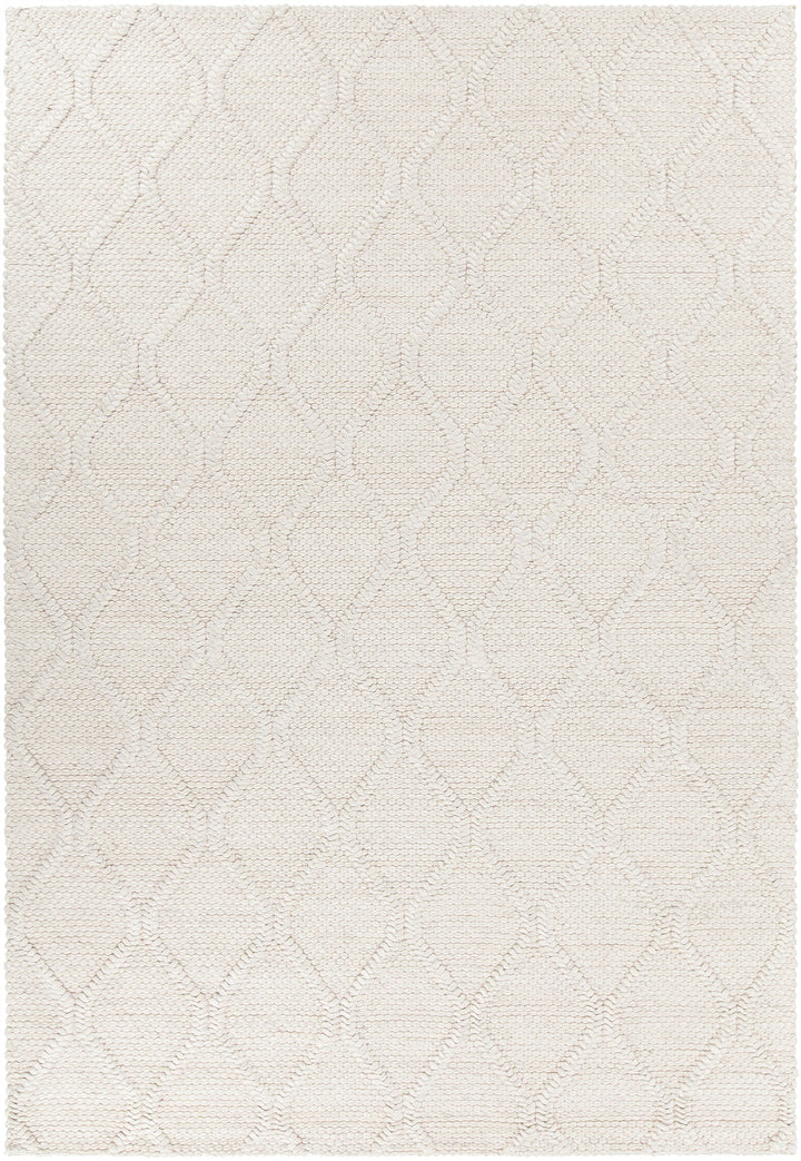 Sujan Hand Woven Contemporary Suj 34701 Rug Chandra Rugs 1