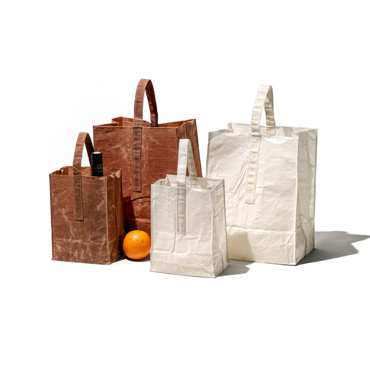 Grocery Bag With Handle 2