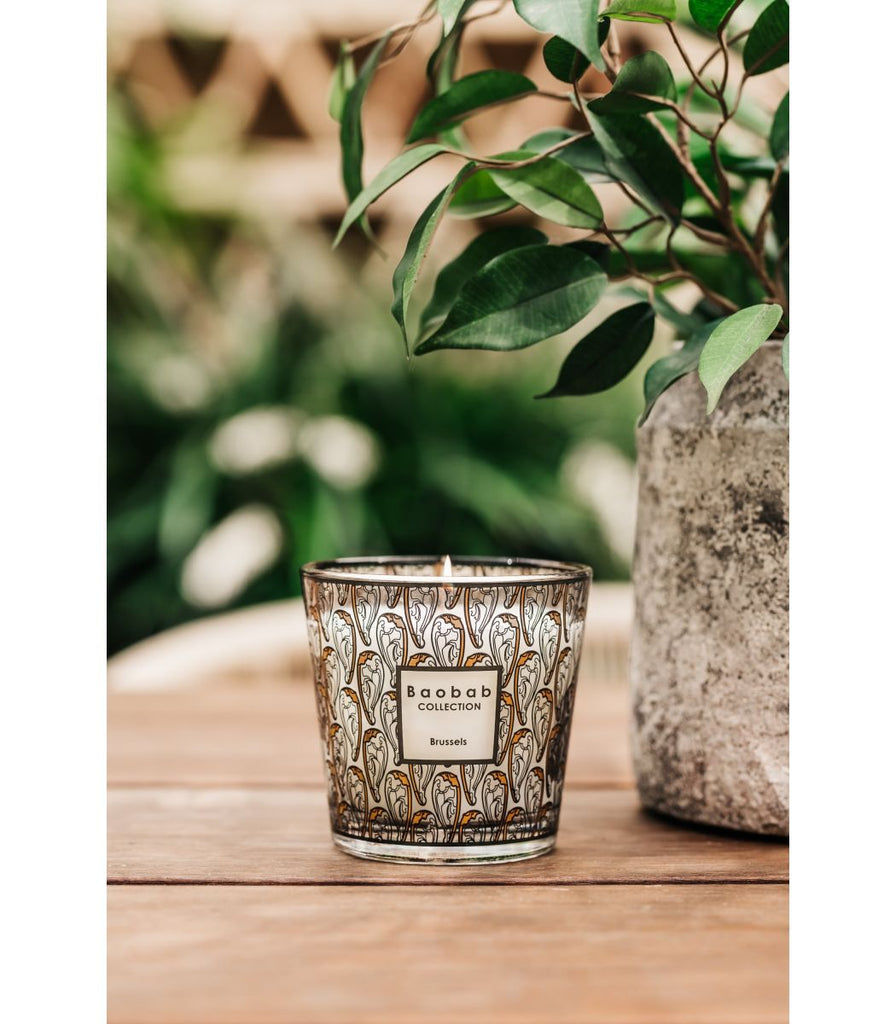 my first baobab brussels max 08 candle by baobab collection 2