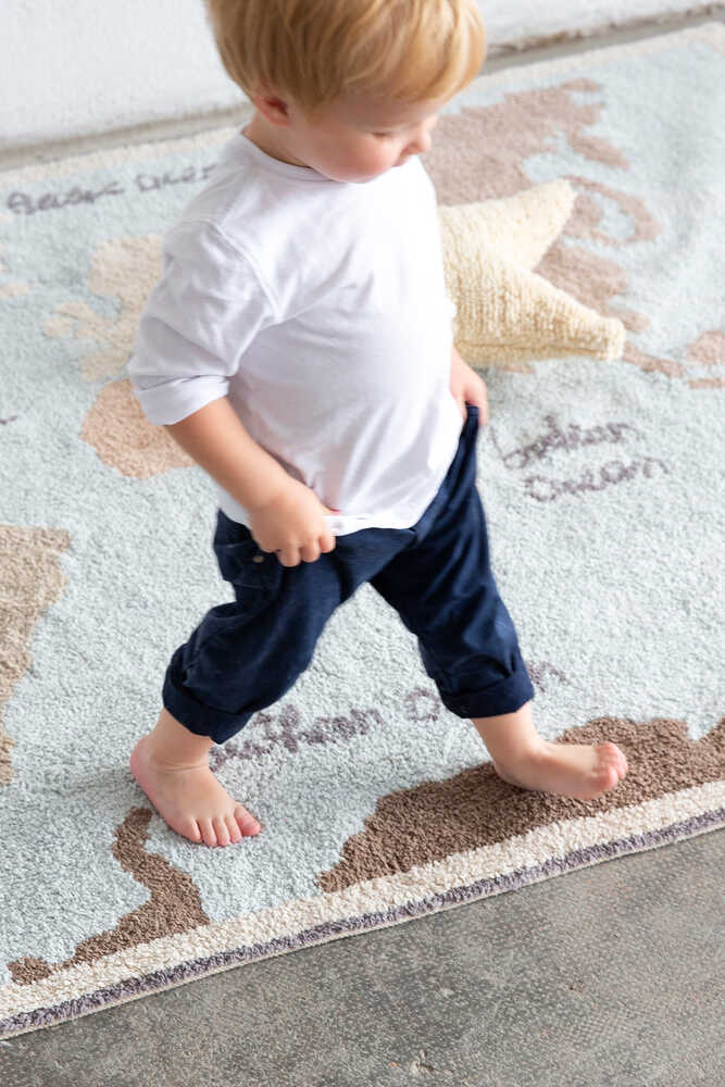 Vintage Map Washable Rug 9