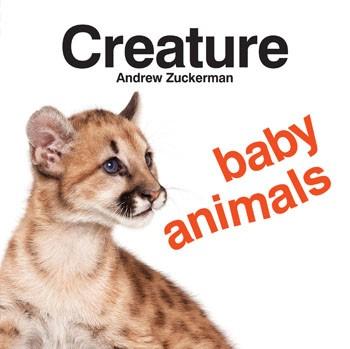 Creature Baby Animals By Andrew Zuckerman