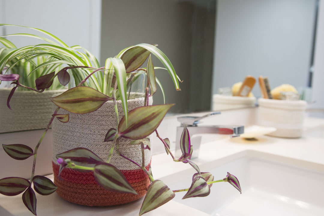 Mini Tricolor Basket in Natural