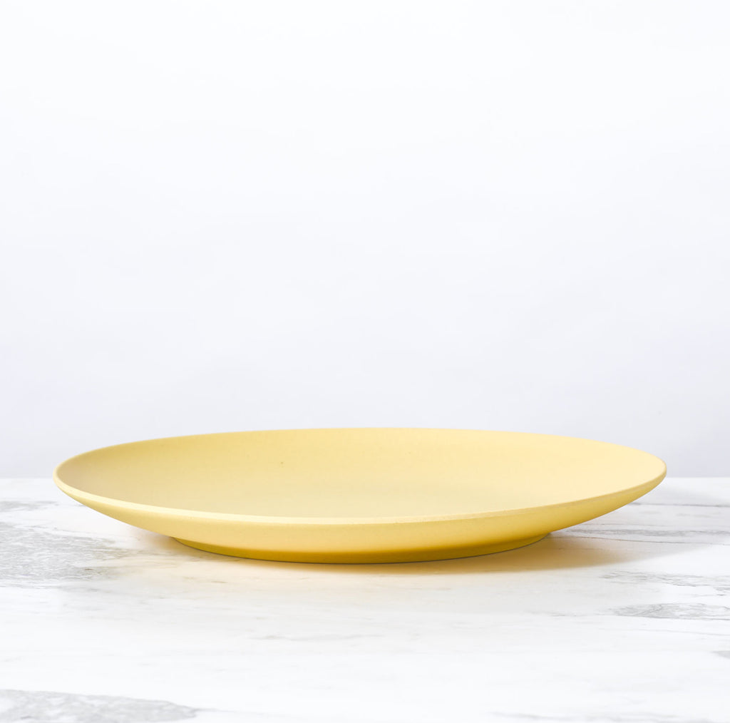 Palette Bamboo Dinner Plate by Fable New York