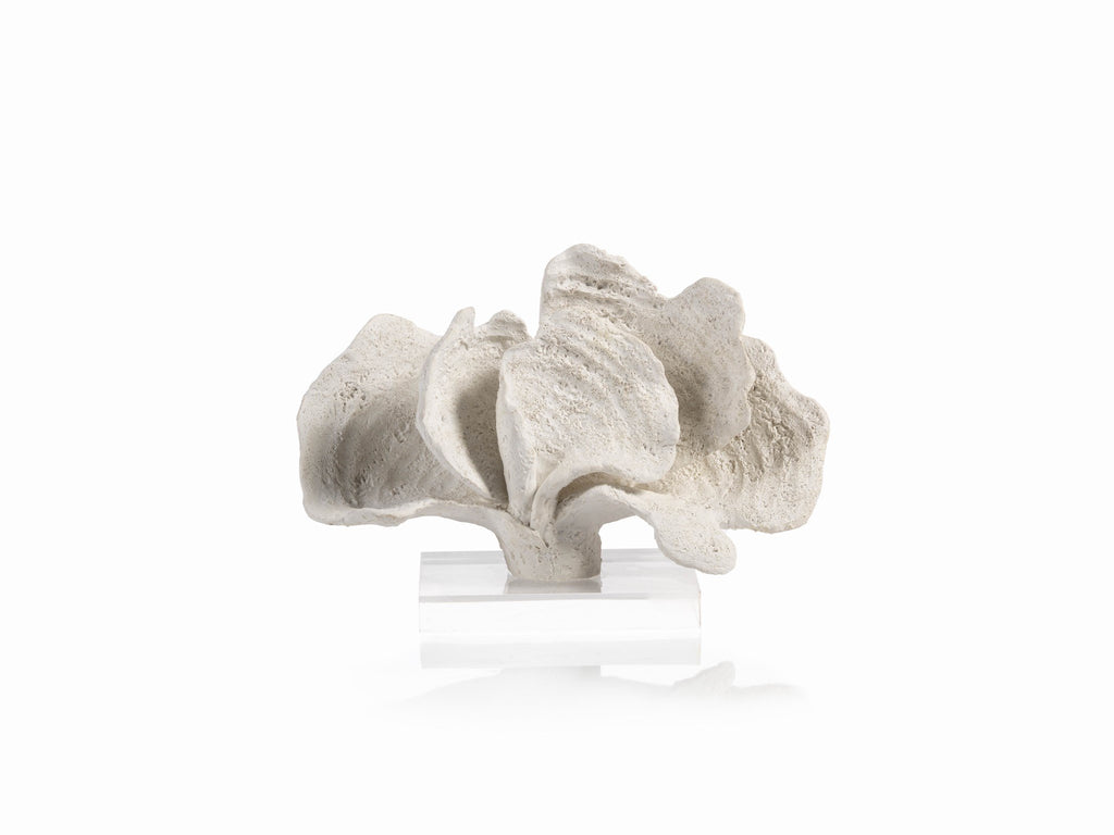 White Coron Coral on Acrylic Base by Panorama City