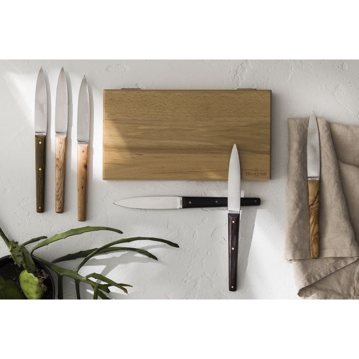 Mirage Les Essences Gift Box of 6 Table Steak Knives by Degrenne Paris